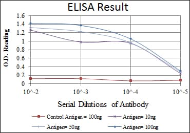 SNAI1 / SNAIL-1 Antibody (clone 6D2)