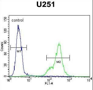 Polyclonal Rabbit anti-Human SCRN1 / Secernin 1 Antibody (aa10-37, IHC, WB)