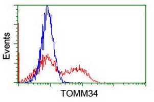 TOMM34 Antibody (clone OTI2A6)