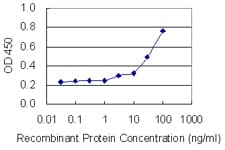 FBN2 / Fibrillin 2 Antibody (clone 1C2)