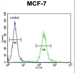 AVPI1 Antibody (aa56-83)