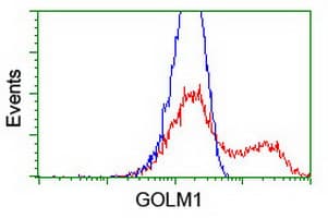 GOLM1 / GP73 / GOLPH2 Antibody (clone OTI2D6)