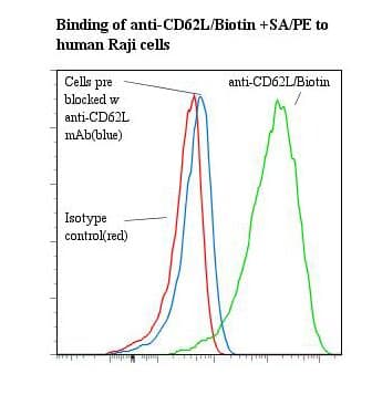 SELL / L-Selectin / CD62L Antibody (clone LAM1-116, Biotin)