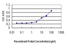 IHC-plus™ CCNH / Cyclin H Antibody (clone 1B8)