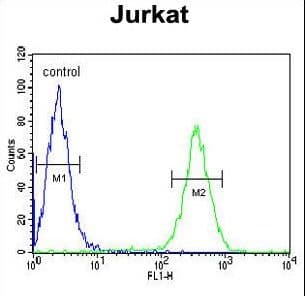 HNRNPL / hnRNP L Antibody (aa249-277)