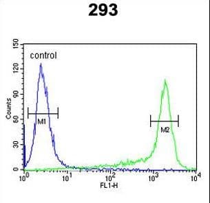PRDX6 / Peroxiredoxin 6 Antibody (aa103-132)