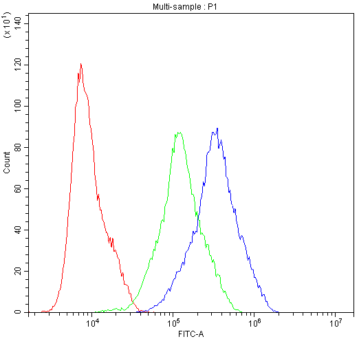 ARSA / Arylsulfatase A Antibody (aa454-482)