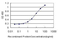IHC-plus™ HMG1 / HMGB1 Antibody (clone 2F6)