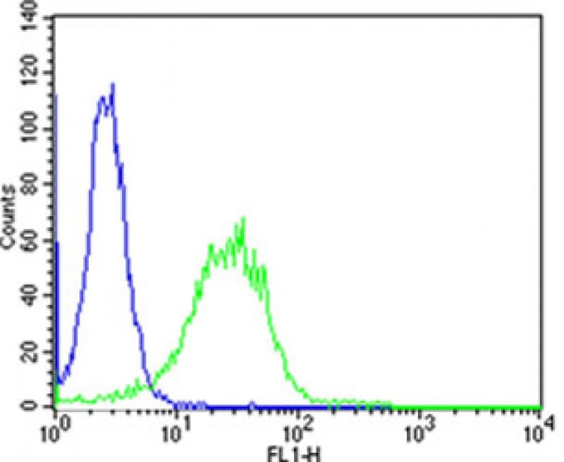 PIP4K2A / PIPK Antibody (aa329-363)