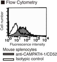 Monoclonal Rat anti-Mouse CD52 Antibody (clone BTG-2G)