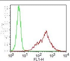 TLR4 Antibody (FITC)