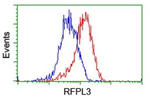 RFPL3 Antibody (clone OTI2G4)