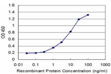 XRCC2 Antibody (clone 2H4)