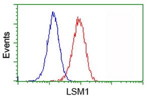 Monoclonal Mouse anti-Human LSM1 Antibody (clone OTI5C6, IHC, IF, WB)