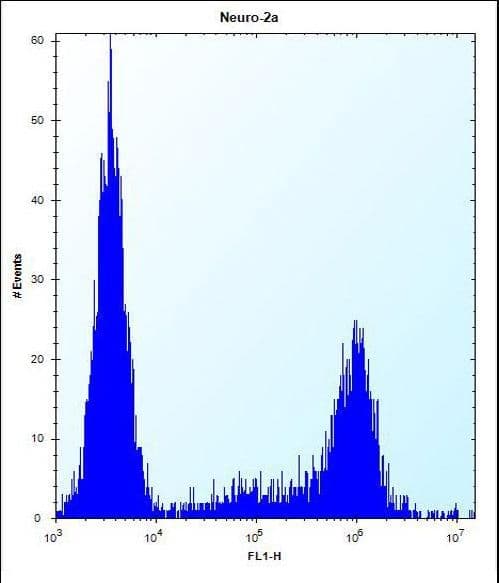 KLC2 Antibody (aa128-156)