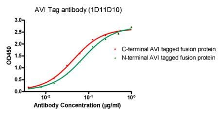 AVI Tag Antibody (clone 1D11D10)