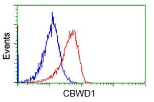 CBWD1 Antibody (clone OTI3A11, Carrier-free)