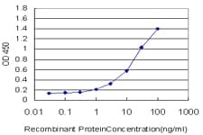 FZD2 / Frizzled 2 Antibody (clone 2C8)