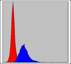 CRK Antibody (clone 3G11C1)