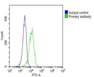Monoclonal Mouse anti-Human GARS / Glycyl tRNA Synthetase Antibody (clone 1641CT258.1.2, WB)