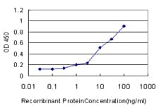 HLA-DRB4 Antibody (clone 4C8)