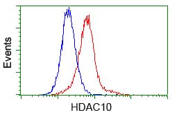 HDAC10 Antibody (clone OTI4D4, Carrier-free)