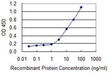 SNTB2 Antibody (clone 3F12)