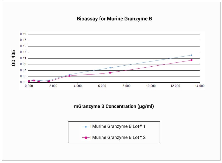 Mouse GZMB / Granzyme B Protein (Recombinant)