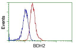 BDH2 Antibody (clone OTI4G4)