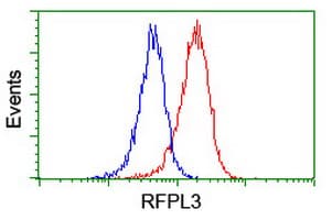 RFPL3 Antibody (clone OTI2G4)