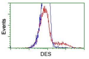 DES / Desmin Antibody (aa104-391, clone 4G1, Carrier-free)