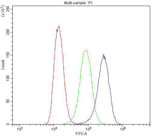 ABCC8 / SUR1 Antibody (DY488)