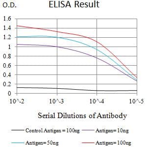 CXCR2 Antibody (clone 7E9H12)