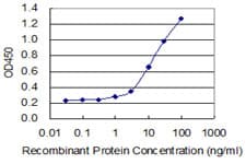 Monoclonal Mouse anti-Human CRH / CRF Antibody (clone 2B11, WB)