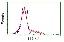 TTC32 Antibody (clone OTI4B5)