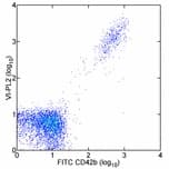 IHC-plus™ Monoclonal Mouse anti-Human ITGB3 / Integrin Beta 3 / CD61 Antibody (clone VI-PL2, IHC, WB)