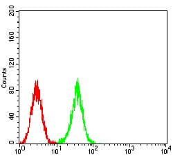 ATG2A Antibody (clone 4H8G3)