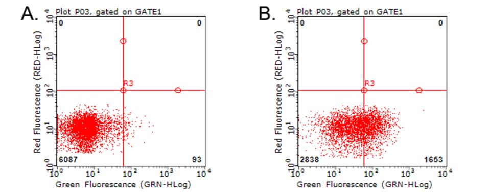 HAVCR2 / TIM-3 Antibody (clone OTI4E4)