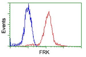 FRK Antibody (clone OTI5F3)