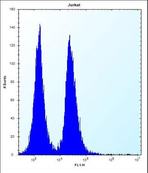KRTAP1-3 Antibody (aa108-135)