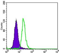 Monoclonal Mouse anti-Human SCGB2A2 / Mammaglobin A Antibody (clone 3C8, IHC, IF, WB)