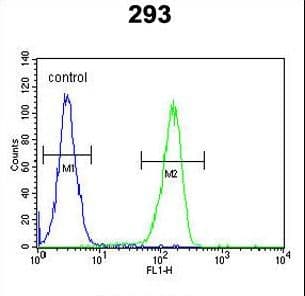 Polyclonal Rabbit anti-Human C5orf15 Antibody (aa123-150, WB)