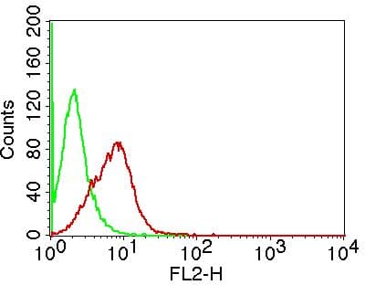 MSI2 Antibody