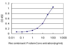 Monoclonal Mouse anti-Human MMP13 Antibody (clone 3B11, WB)
