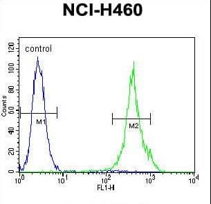 MAML1 Antibody (aa198-225)