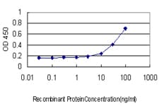 Monoclonal Mouse anti-Human SMPD2 Antibody (clone 2C9, IHC, WB)