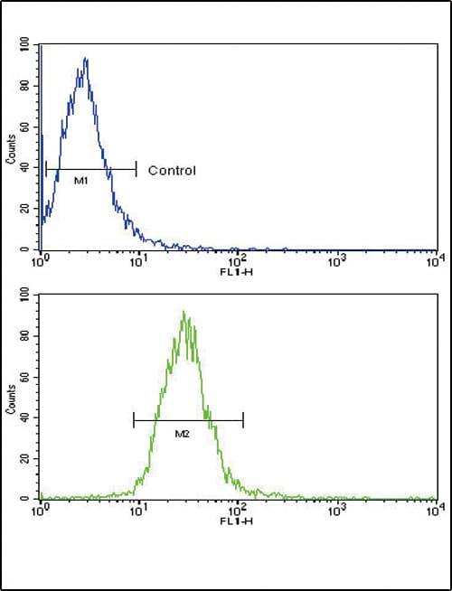 Polyclonal Rabbit anti-Human TLR6 Antibody (aa393-423, IHC, WB)