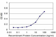 PNMA2 / MA2 Antibody (clone 2C5)