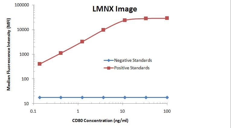 Monoclonal Mouse anti-Human CD80 Antibody (clone OTI1A10, WB)