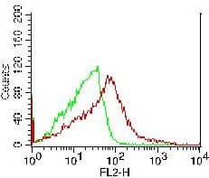 Monoclonal Mouse anti-Human ATF6 Antibody (clone ABM1A40, aa1-400, WB)